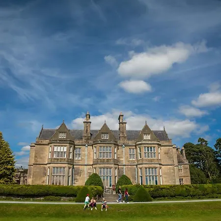 Apartament The Beeches *