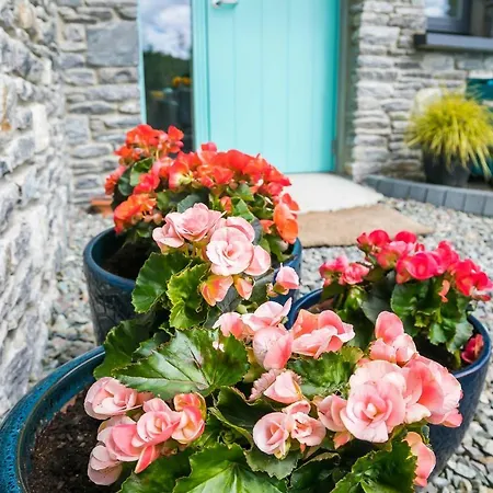 Διαμέρισμα The Beeches *