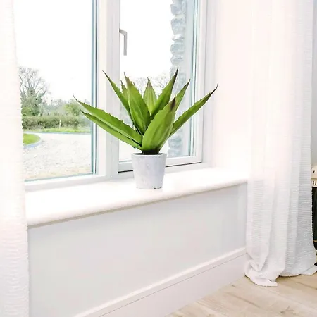 Апартаменти The Beeches *