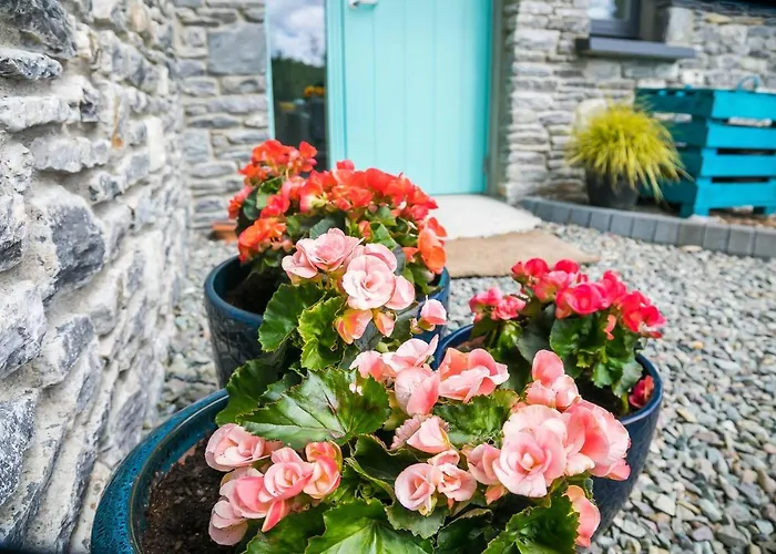 Apartmán The Beeches *