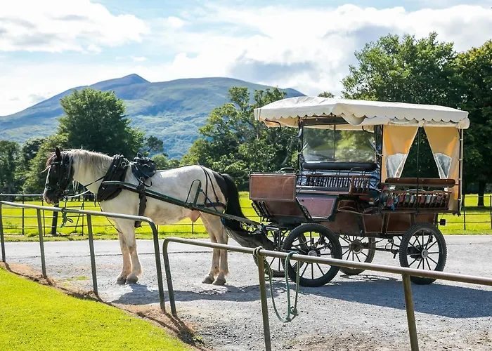 The Beeches Lägenhet *